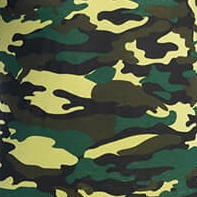 Camouflage Customized Short Sleeved Shirt (2)_197_197.jpg