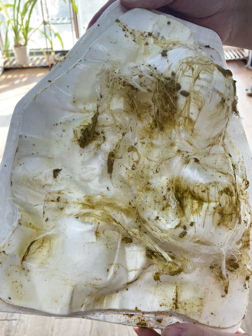 Ballistic Plate Protection