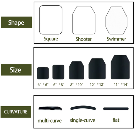 Plate size.png