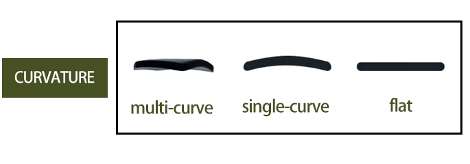 Plate Curvature.jpg