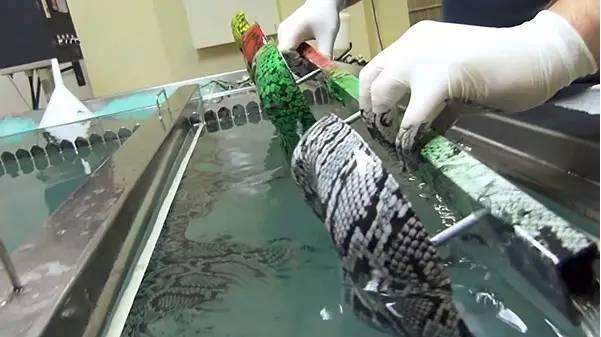 Water transfer printing.jpg