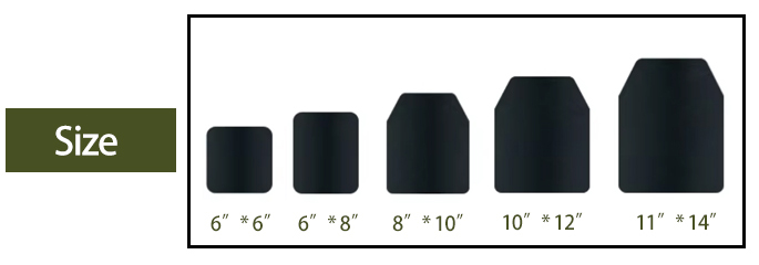 Plate size.jpg